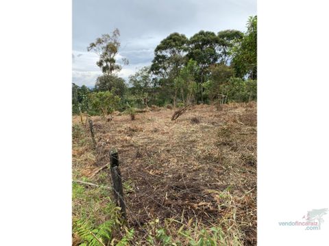 venta de lote vereda los pinos rionegro