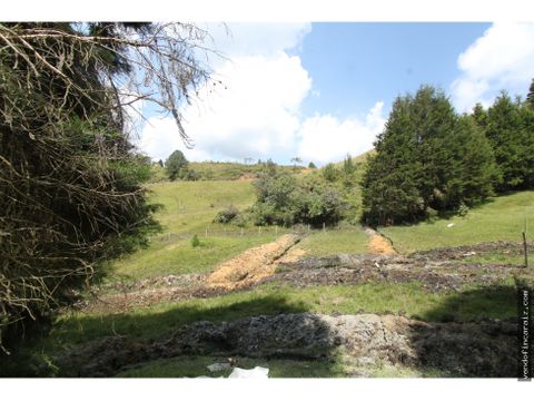 lote urbano en guarne zona la mulona