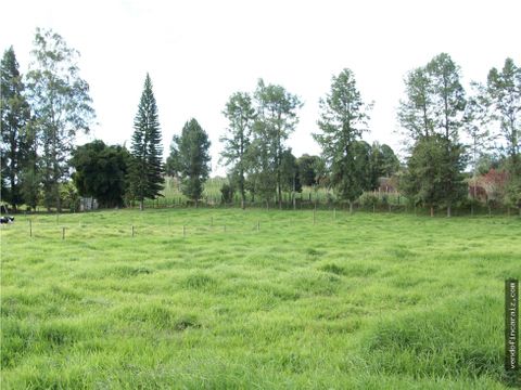 lote de uso mixto en guarne zona urbana