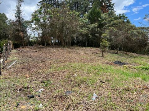 venta de lote vereda los pinos rionegro