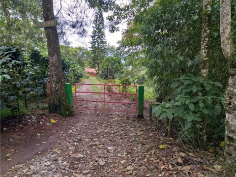 vendo finca con nacimiento de agua cafe platano en calarca virginia