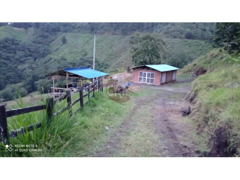 vendo finca de 9 cuadras en pastos sto domingo alto calarca quindio