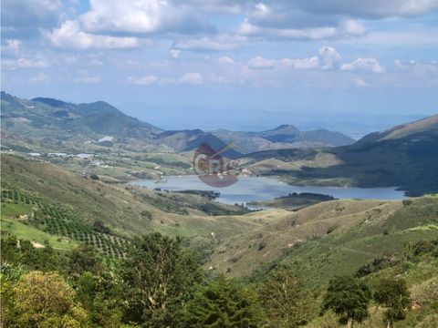 vendo finca de 70 cuadras en vereda la tulia en trujillo valle