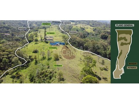 se vende lote suburbano en la virginia calarca quindio