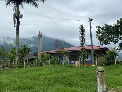 vendo finca en pasto en calarca quindio