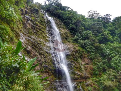 vendo hermosa finca ecoturistica en vda sto domingo calarca quindio