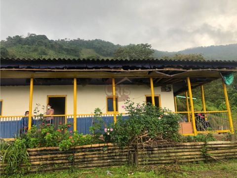 finca en vereda chaguala ideal para cultivar