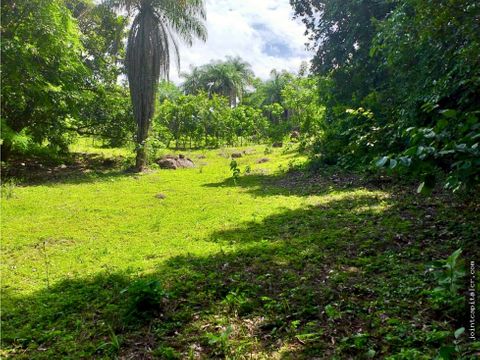 venta de lote 9841 m2 en higuito de san mateo en alajuela