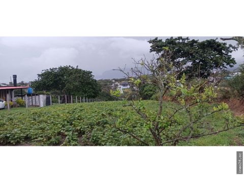 terreno en venta en arrayanes puembo