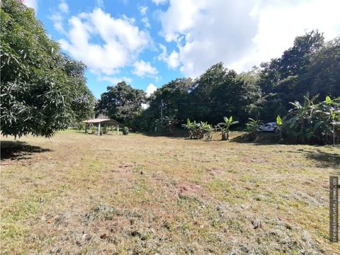 se vende terreno de 1238 mts2 en bajo del rio chame