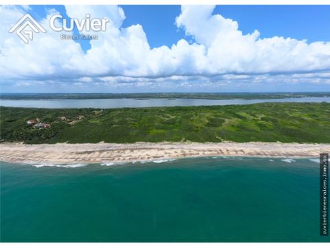 hv1439 de hectareas con frente de playa en venta isla de cabo rojo