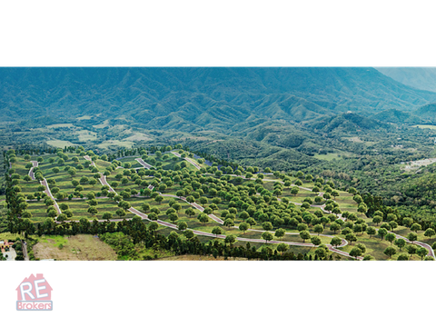 terreno en venta allende las colmenas