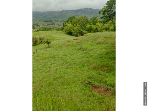 finca ganadera en venta en tebaida q