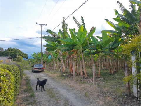 lote en venta en tebaida quindio