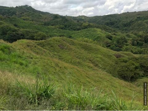 finca en venta en sevilla valle del cuca