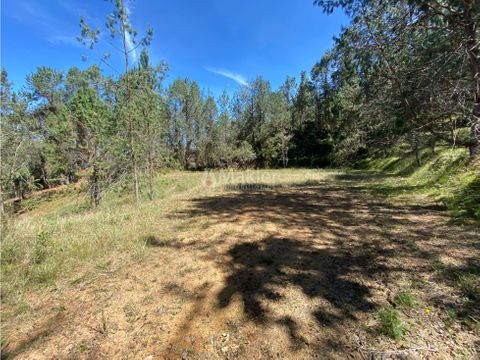 lote en parcelacion en el retiro carrizal