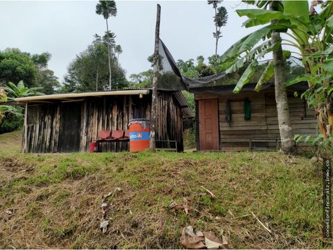 venta finca vereda santa barbara maceo antioquia