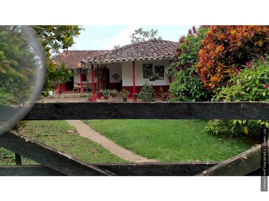 Venta Finca Vereda La Florida Maceo Antioquia.