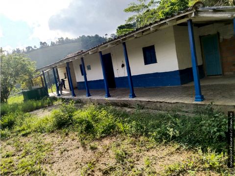 venta finca vereda santa ana maceo antioquia