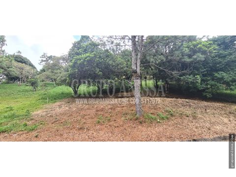 se vende terreno en zona alta de altos del maria