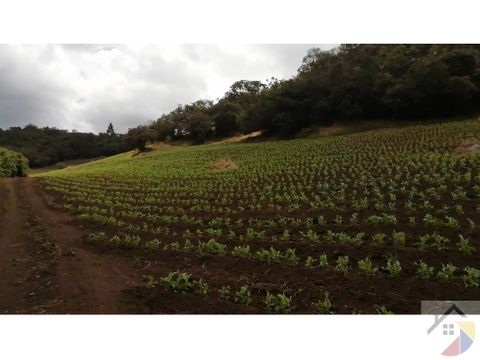 finca en venta en vereda prado alto facatativa cundinamarca