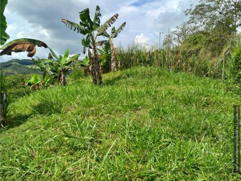 venta de lote en las margaritas