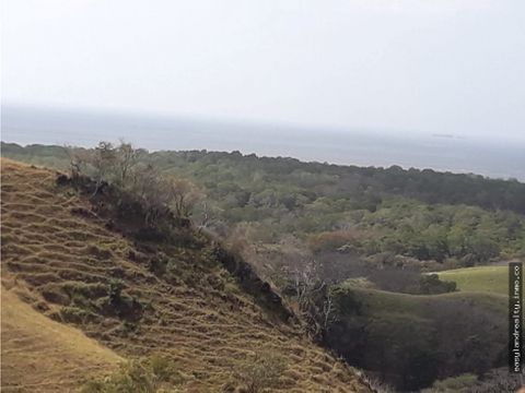 vendo finca en oria de pedasi