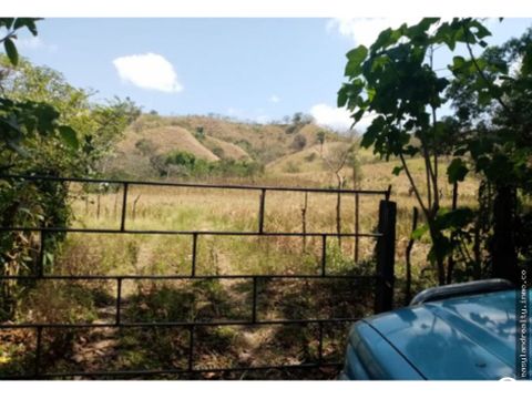 vendo finca cambutal de tonosi