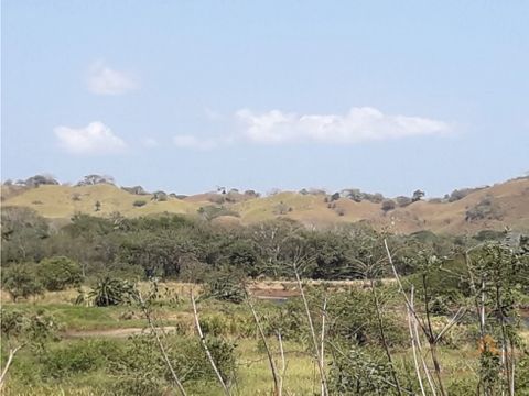 vendo finca en oria de pedasi