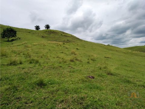 vendo hermosa finca en paritilla de pocri