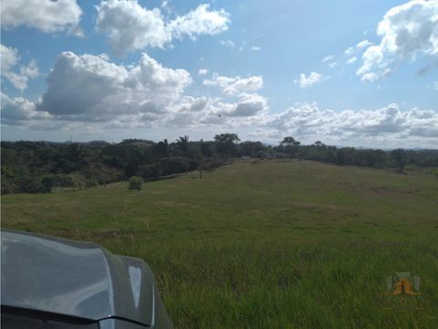 vendo hermoso terreno en chorrera