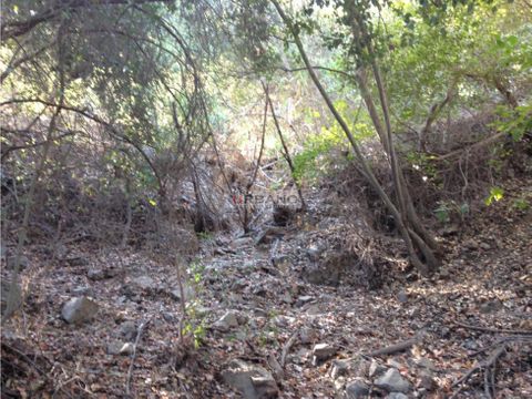 terreno subdividible en olmue