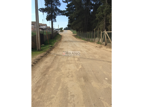 terreno en los pinos camino pavimentado