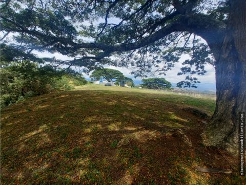 se vende lote campestre en urbanizacion sorrento tulua