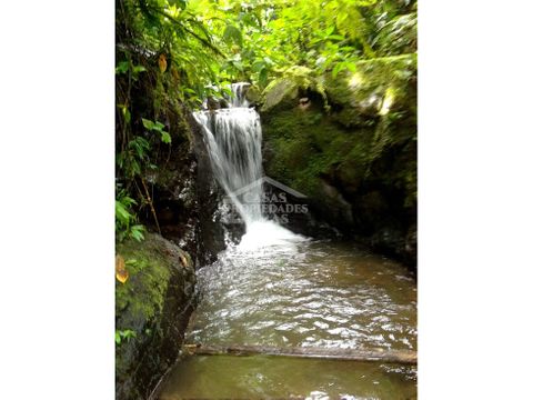 venta de finca en tarrazu con rio cataratas nacientes