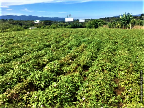 se vende terreno en la guacima con proyecto residencial pre aprobado