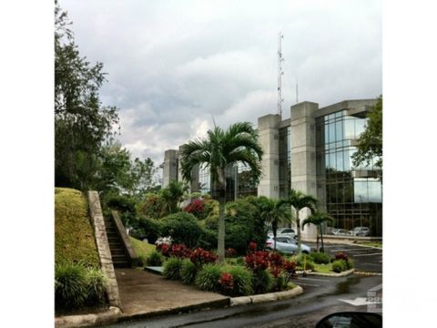 alquiler oficinas en pavas