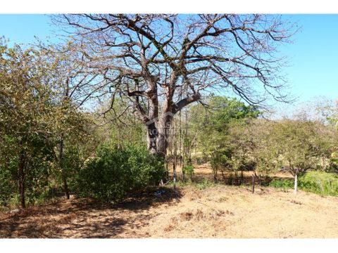 venta terreno playa brasilito guanacaste