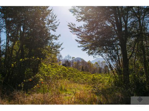 parcela en venta en pucon con bosque de arrayanes y vista al volcan