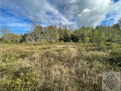 preciosa parcela en venta en frutillar con bosque nativo y acceso lago