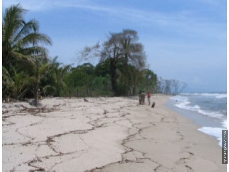 lote buritica con 600 m lineales de playa para ecoturismo santa marta
