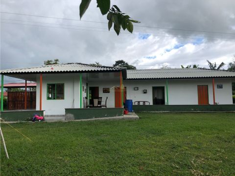 finca en venta vereda balcones quimbaya