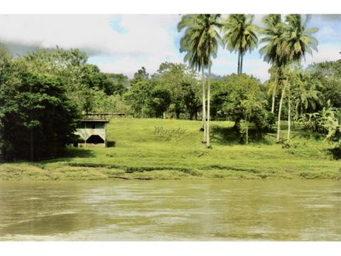 venta de finca ganadera en san carlos alajuela cutris