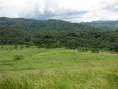 venta de lote en alajuela la guacima uso agricola y residencial