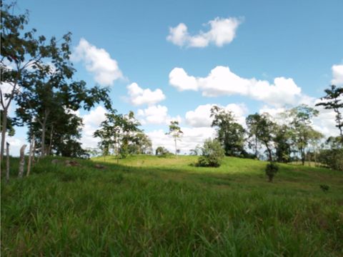 venta de finca en guacimo uso agricola y ganaderia