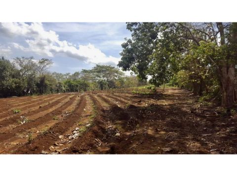 venta de finca en alajuela tambor el cacao uso agricola