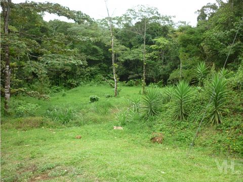 oportunidad 130000 venta lote residencial la cazuela ciudad quesada