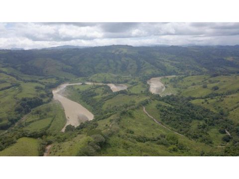 venta finca ganadera 120 has convento en buenos aires puntarenas