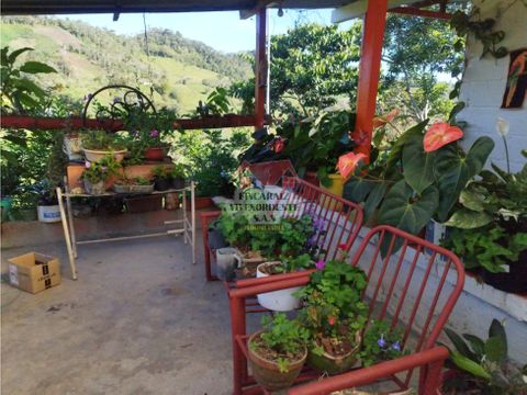 venta finca autosostenible 14400 mts2 san roque antioquia