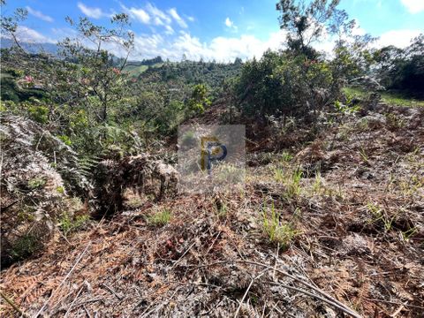 lote en venta en guarne